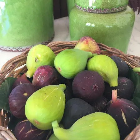 Bed & Breakfast Tenuta Porello