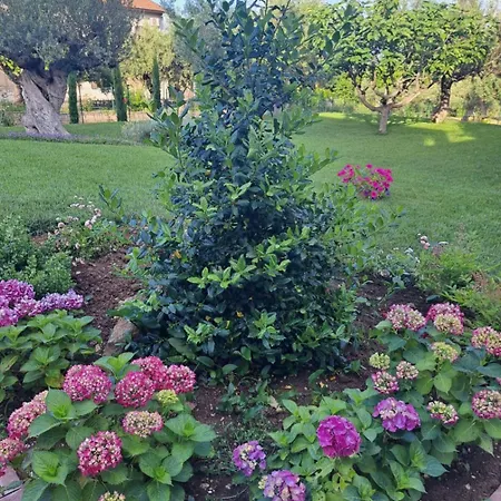 Tenuta Porello Rocca San Giovanni