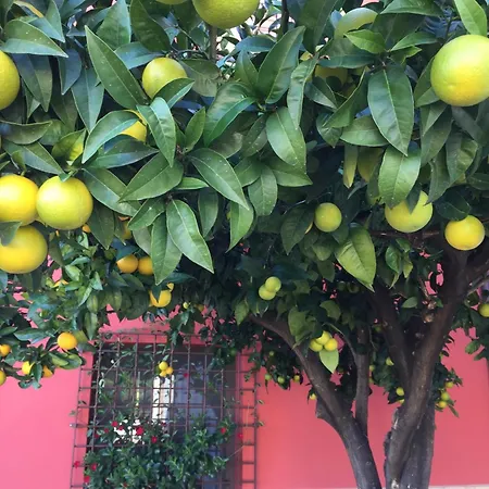 Tenuta Porello Bed & Breakfast *