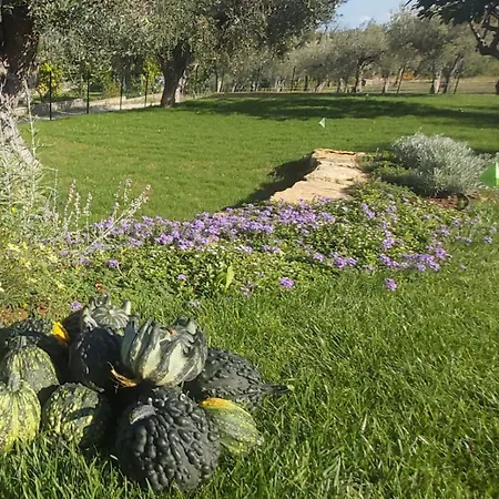 Tenuta Porello 3* Rocca San Giovanni