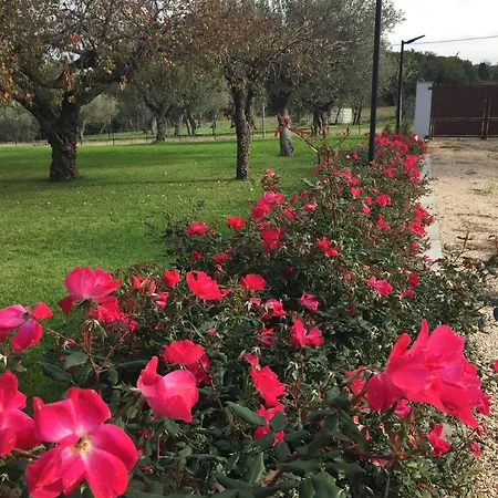Tenuta Porello 3* Rocca San Giovanni