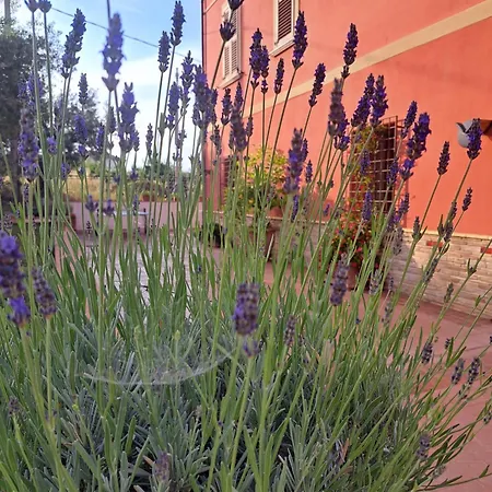 Tenuta Porello Bed & Breakfast *