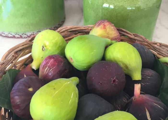 Bed and breakfast Tenuta Porello