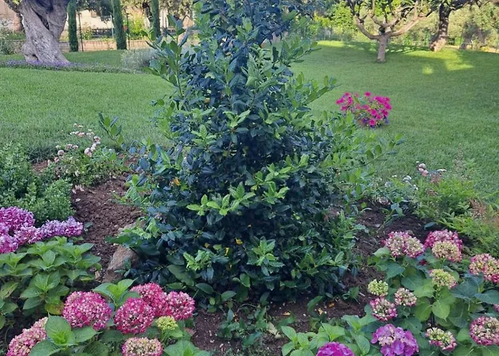 Tenuta Porello Rocca San Giovanni