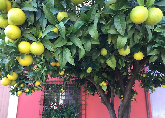 Tenuta Porello Bed & Breakfast 3*