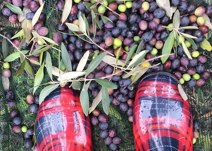 Tenuta Porello Bed and breakfast