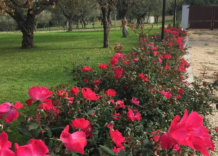 Tenuta Porello 3* Rocca San Giovanni