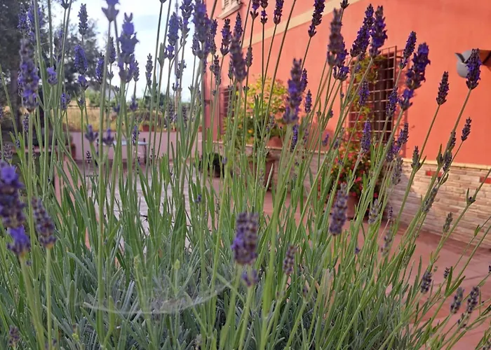 Tenuta Porello Bed & Breakfast 3*